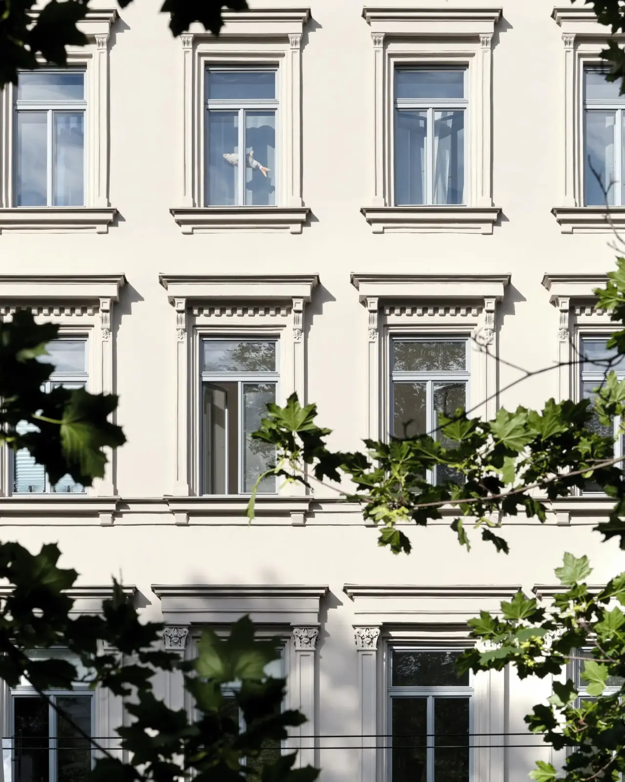 Brno, Koliště