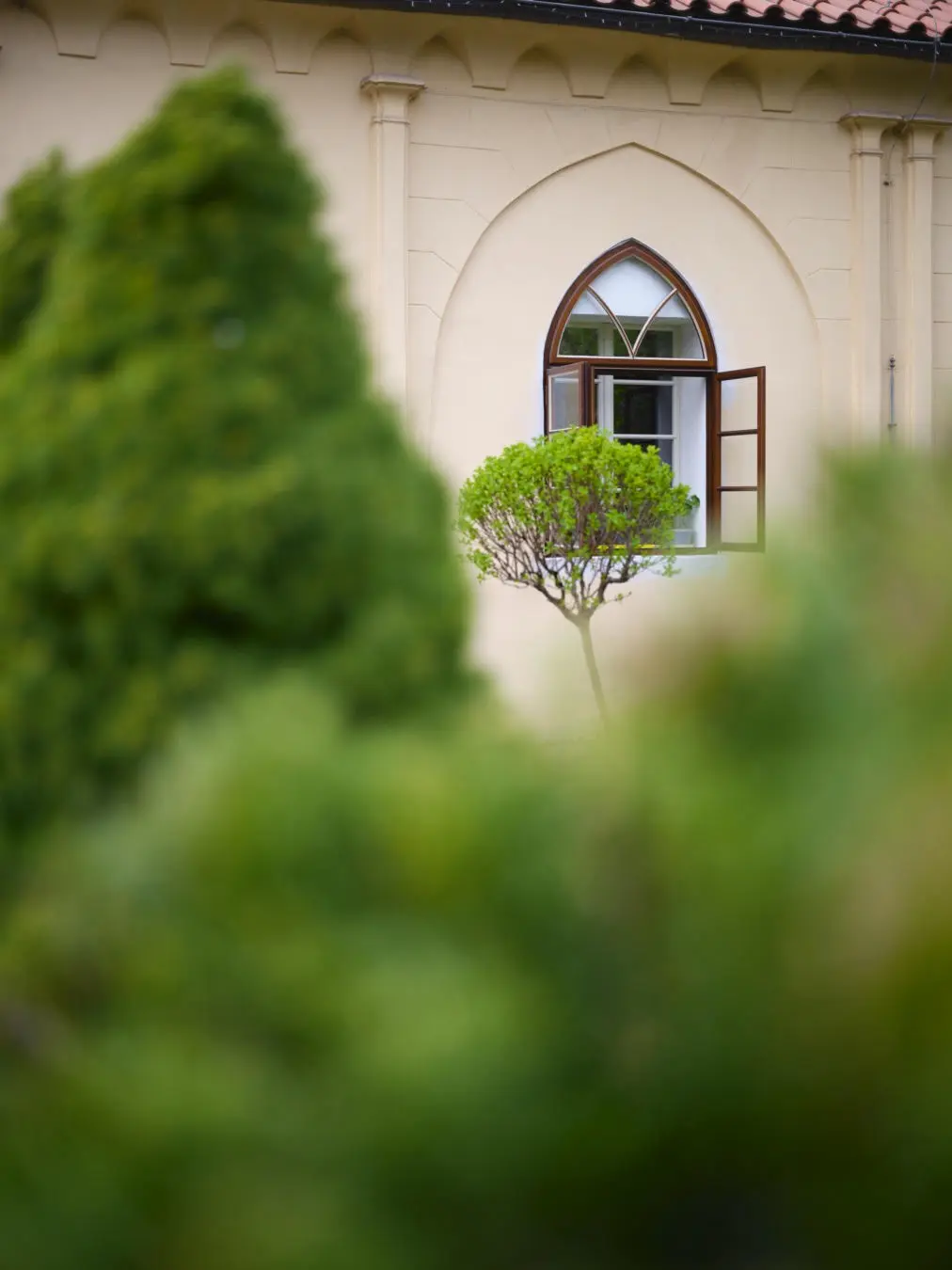 Open Gothic wooden window